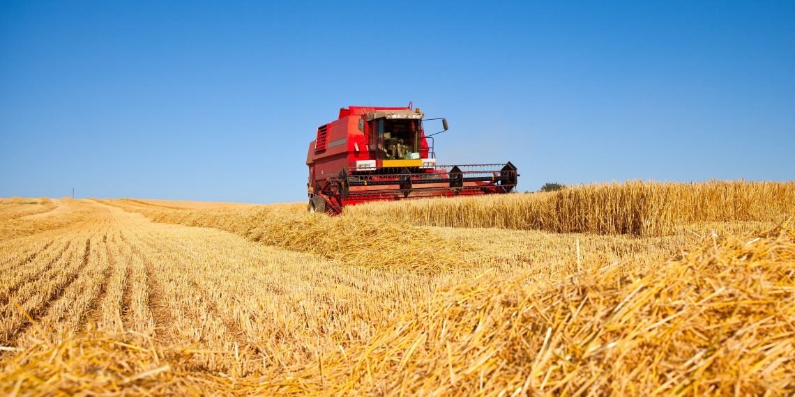 Assurance agricole: la multirisque, un bouclier contre les aléas climatiques